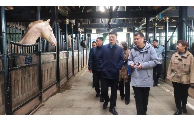 高雷副廳長在野馬集團調(diào)研時表示，要通過科技助力，精準解決“卡脖子”問題